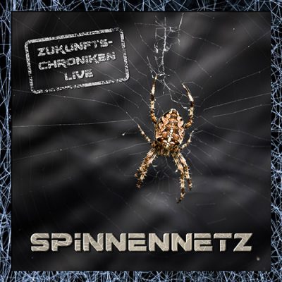 Spinnennetz